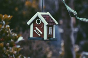 Etobicoke real estate