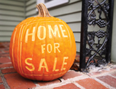 Etobicoke Real Estate Market